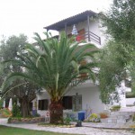 Grcka  Halkidiki