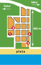 Metamorfozis letovanje